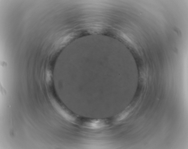 X0000091170130200708091211