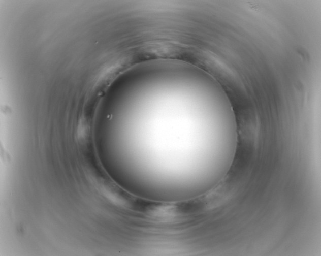 X0000091170132200708091211