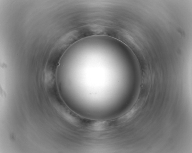 X0000091170136200708091211