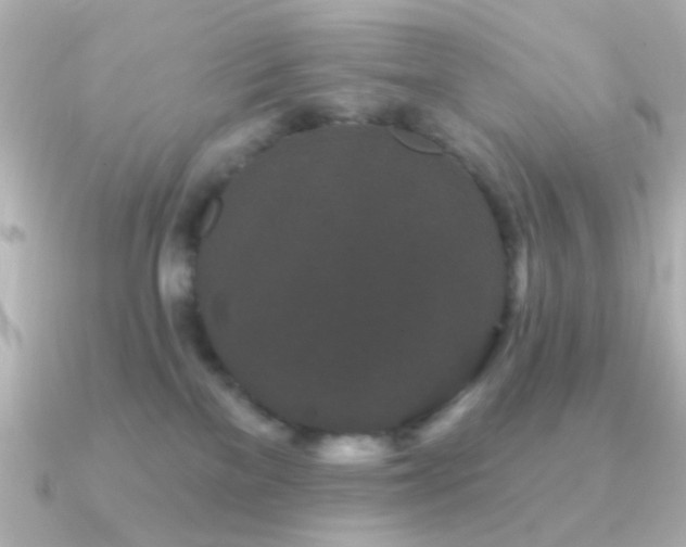 X0000091170137200708091211