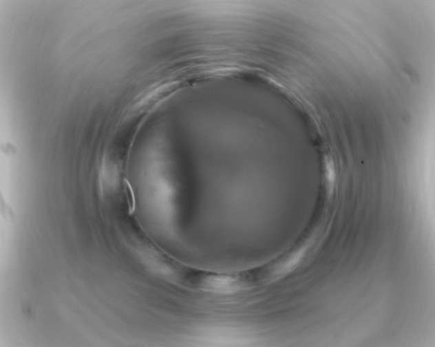X0000091170139200708091211