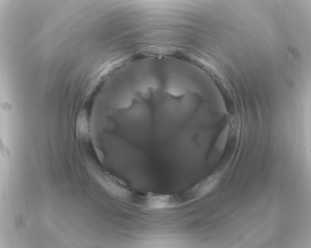 X0000091170143200708091211