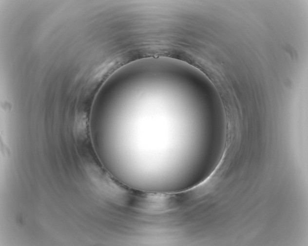 X0000091170144200708091211