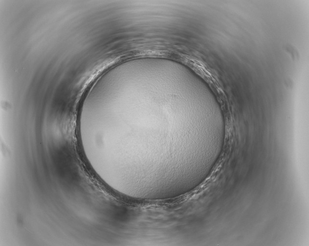 X0000091170146200708091210