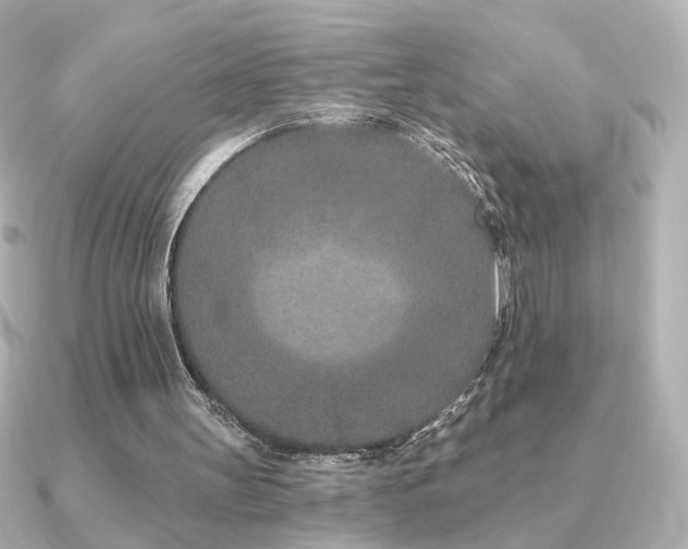 X0000091170147200708091210