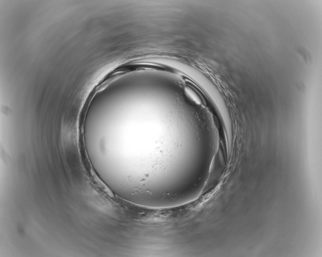 X0000091170148200708091210