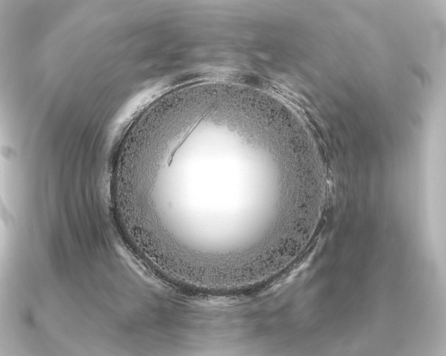 X0000091170149200708091210