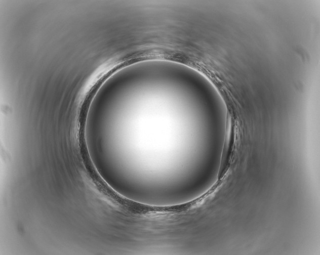 X0000091170150200708091210