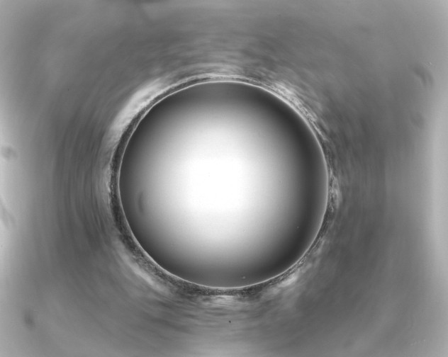 X0000091170151200708091210
