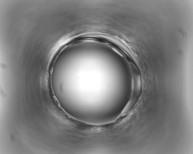 X0000091170152200708091210
