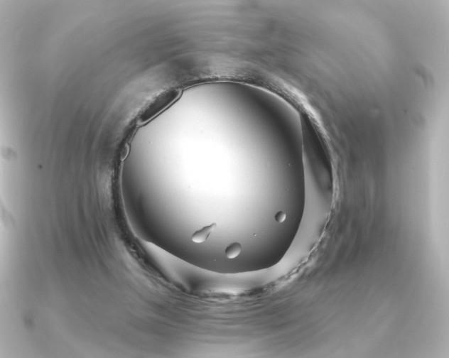 X0000091170154200708091210