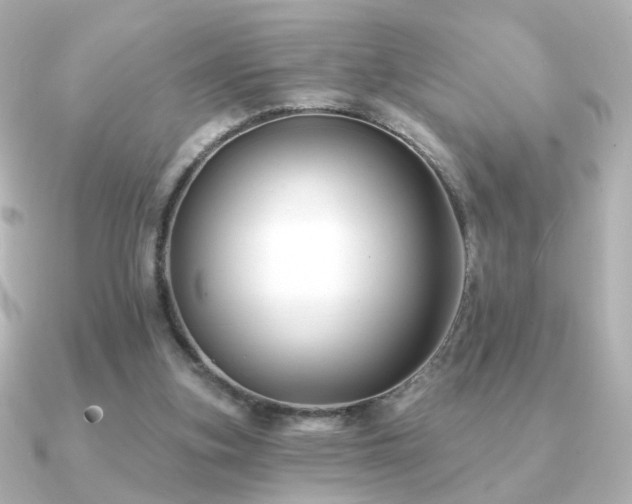 X0000091170155200708091210