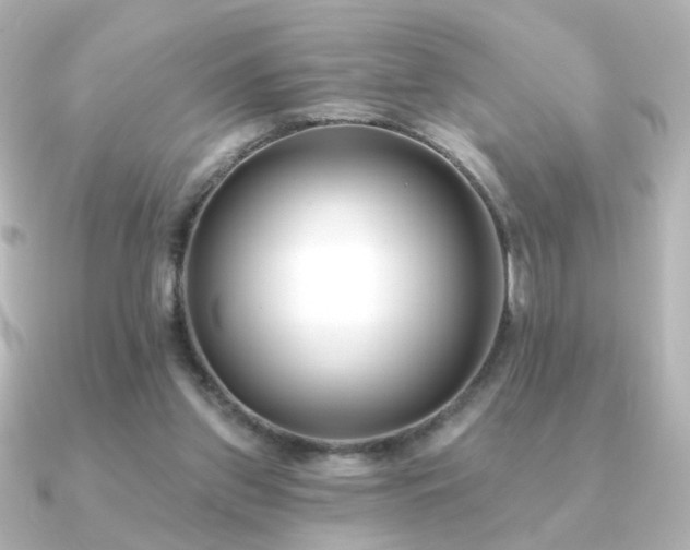 X0000091170157200708091210