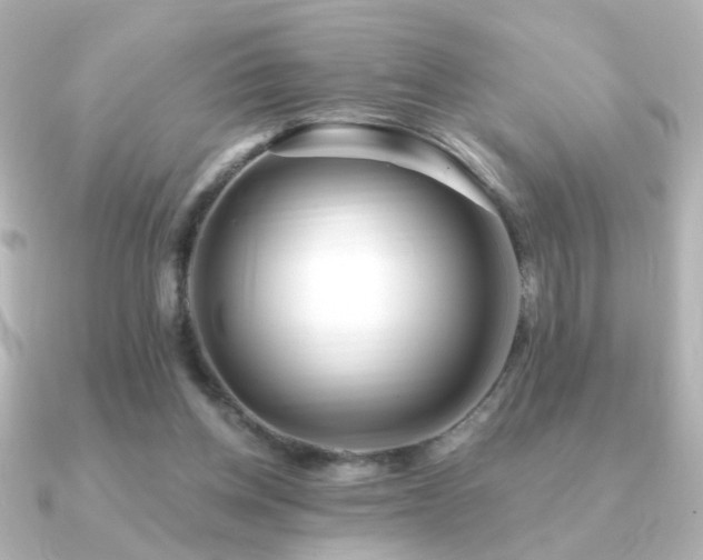 X0000091170158200708091210