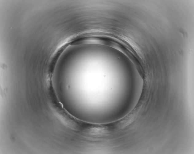 X0000091170160200708091210