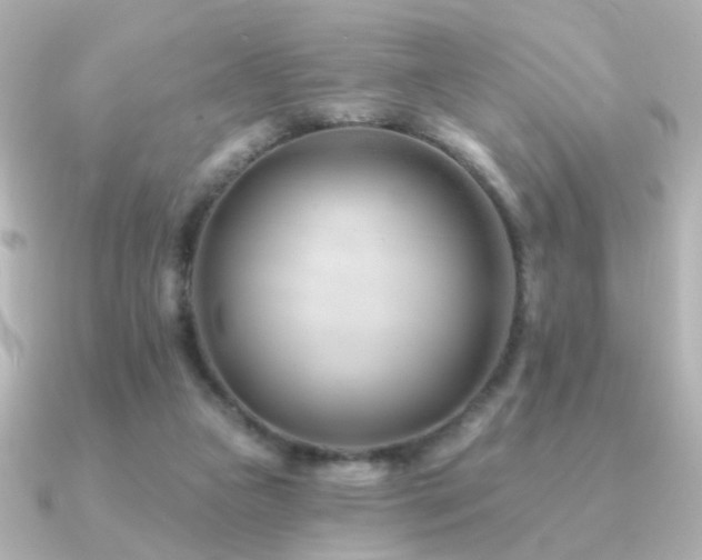 X0000091170161200708091210