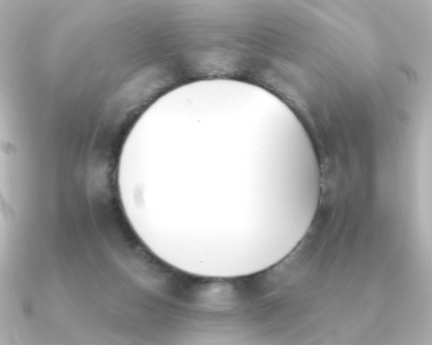 X0000091170162200708091210