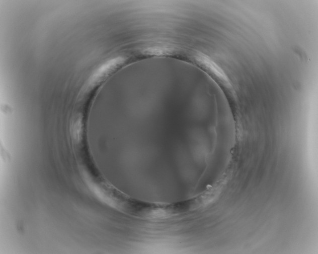 X0000091170163200708091210