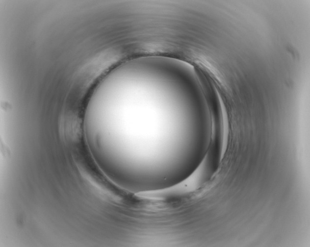 X0000091170164200708091210