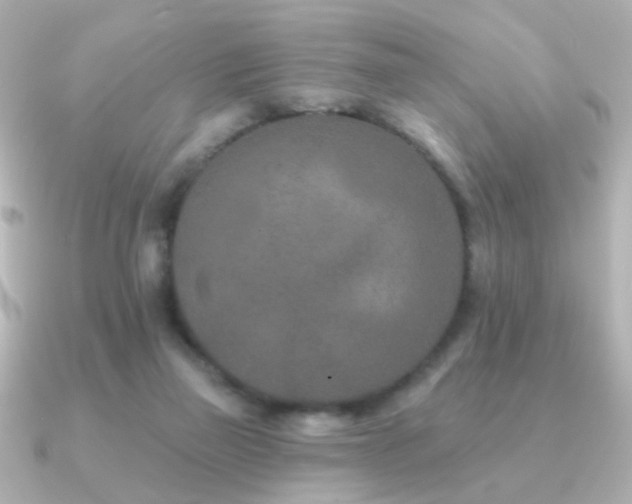 X0000091170165200708091210