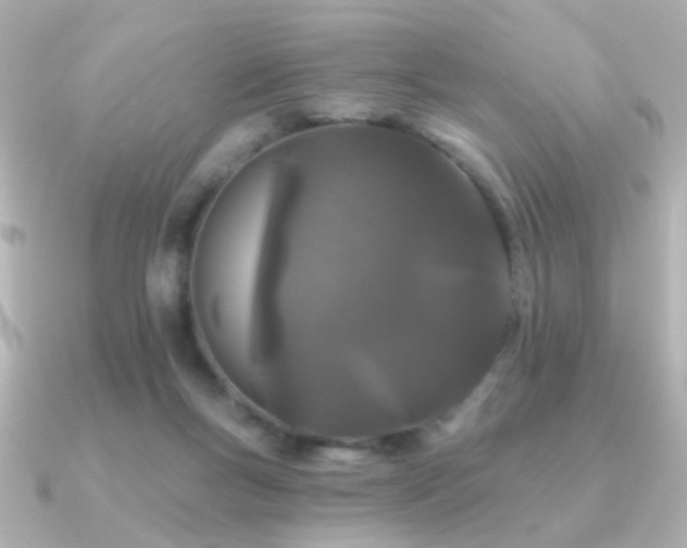 X0000091170167200708091210