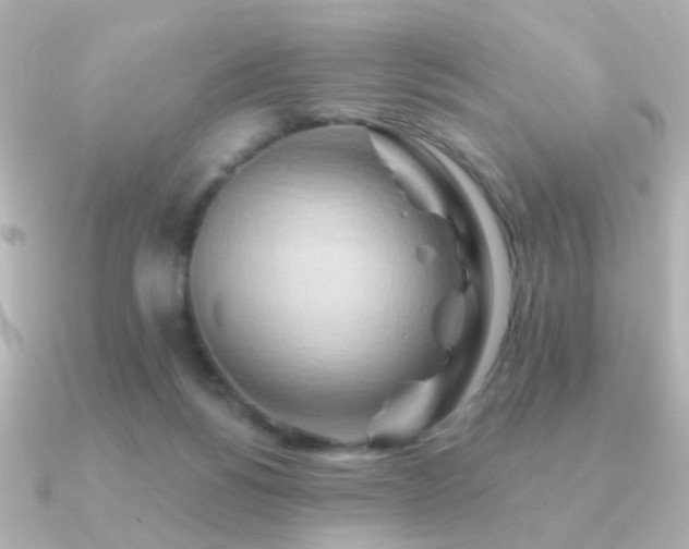 X0000091170168200708091210