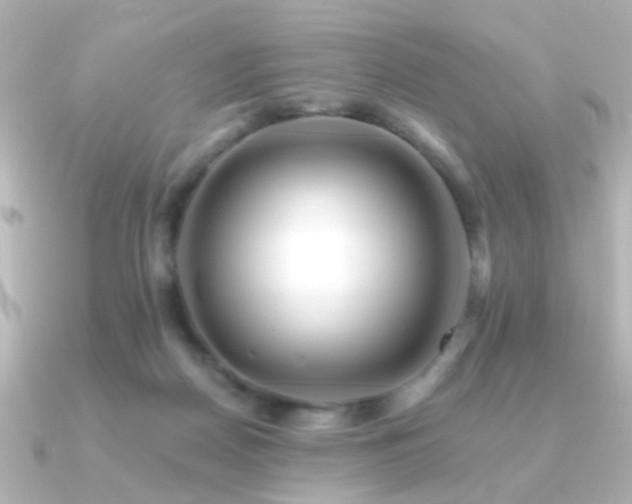 X0000091170170200708091210