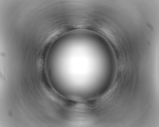 X0000091170171200708091211