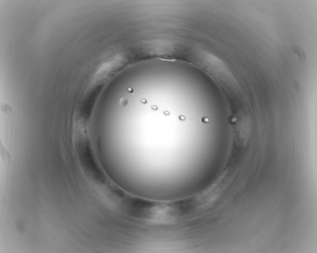 X0000091170172200708091211