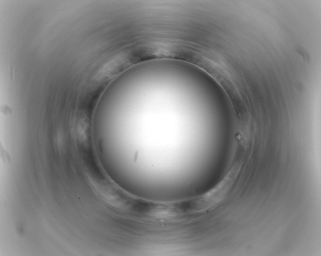 X0000091170175200708091211