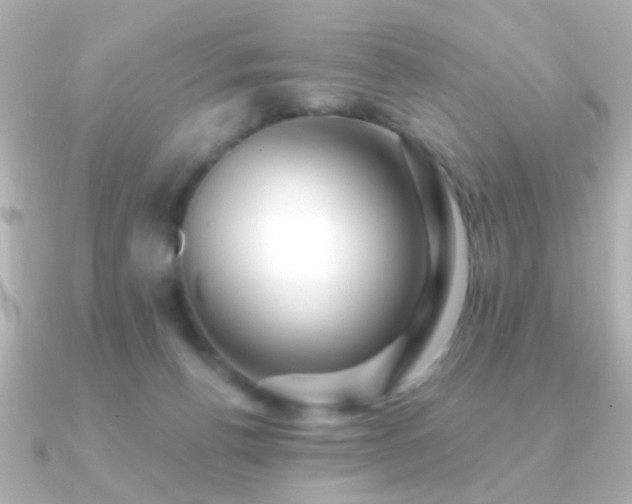 X0000091170176200708091211