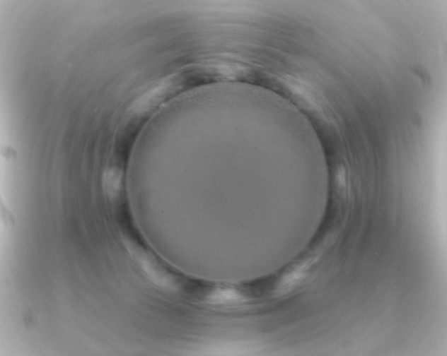X0000091170177200708091211