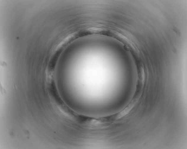 X0000091170180200708091211
