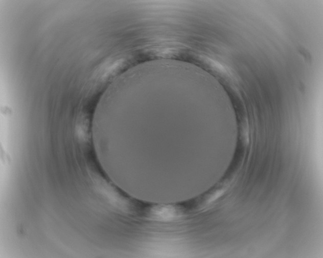 X0000091170181200708091211