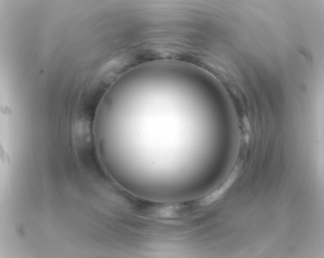 X0000091170182200708091211