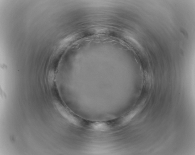 X0000091170189200708091211