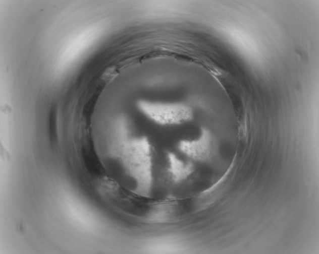 X0000091170191200708091211