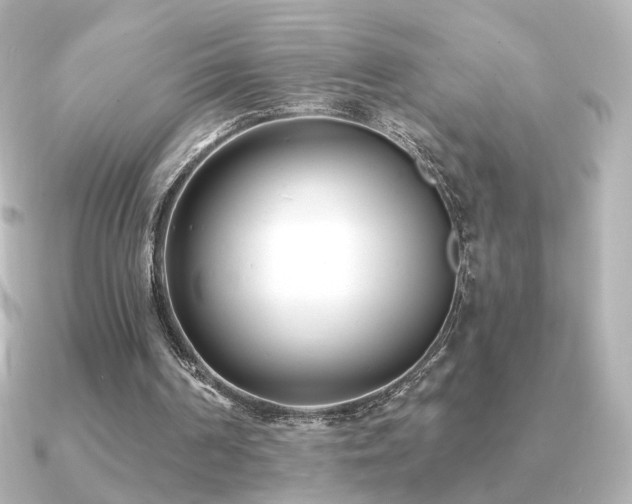 X0000091170194200708091210