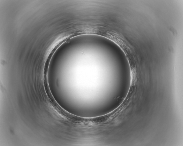 X0000091170195200708091210