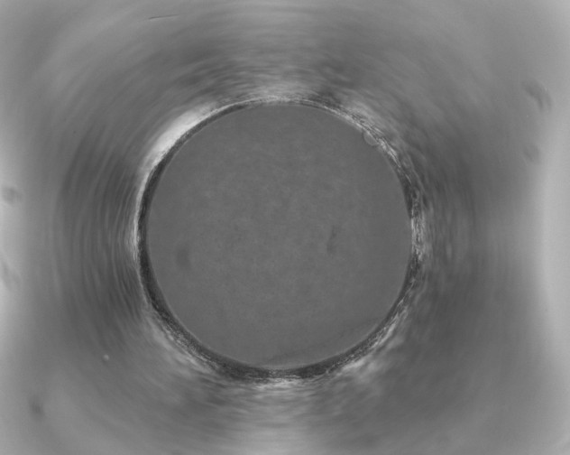 X0000091170196200708091210