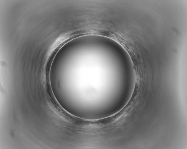 X0000091170198200708091210