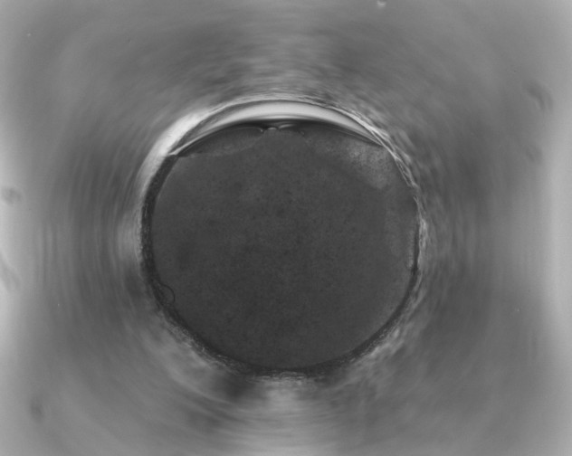 X0000091170200200708091210