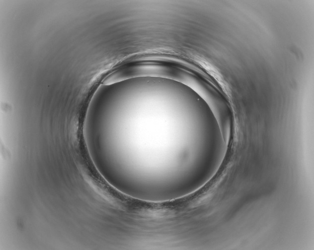 X0000091170201200708091210