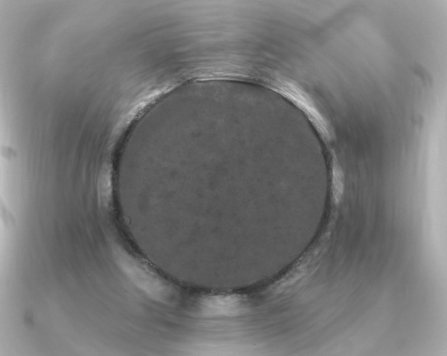 X0000091170202200708091210