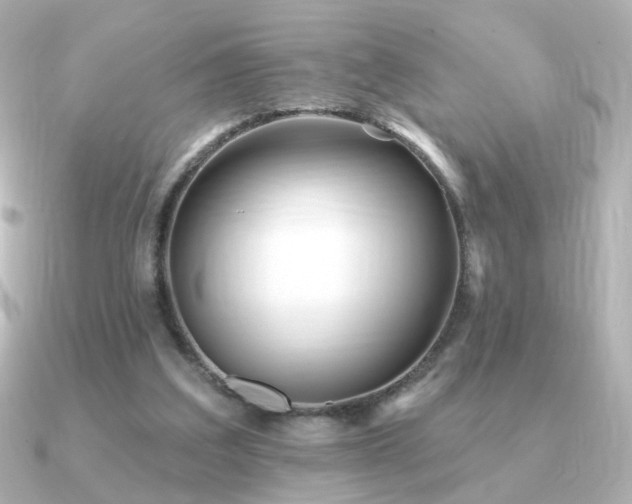 X0000091170203200708091210