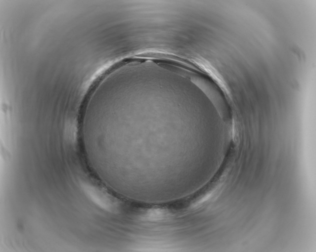 X0000091170204200708091210