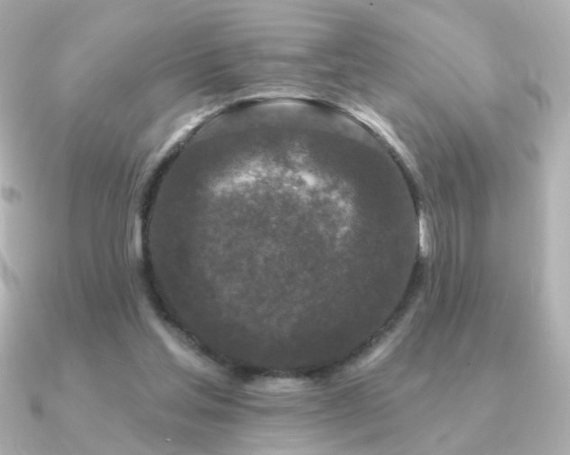 X0000091170205200708091210