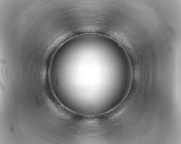X0000091170206200708091210