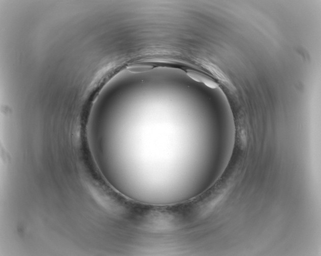 X0000091170207200708091210