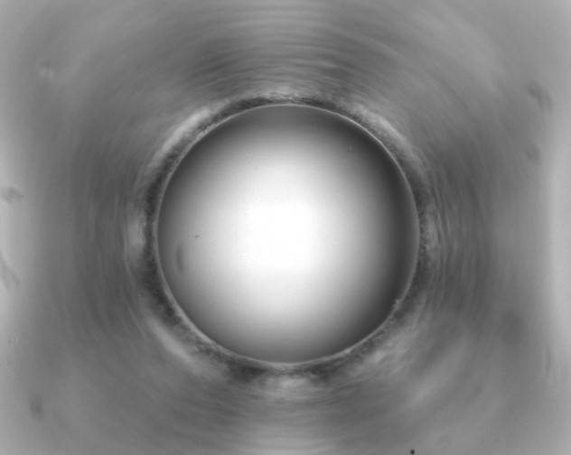 X0000091170208200708091210